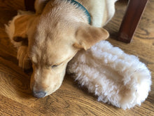 Load image into Gallery viewer, Philly Soft Pretzel Toy