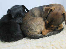 Load image into Gallery viewer, CUDDLE MAT