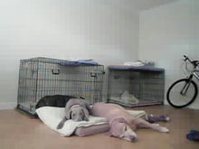 Load image into Gallery viewer, CUDDLE MAT