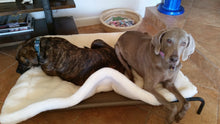 Load image into Gallery viewer, CUDDLE MAT