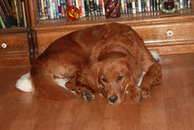 Load image into Gallery viewer, CUDDLE MAT