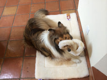 Load image into Gallery viewer, CUDDLE MAT