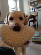 Load image into Gallery viewer, RAVIOLI TOY