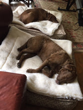 Load image into Gallery viewer, CUDDLE MAT