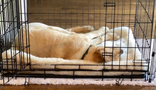 Load image into Gallery viewer, CUDDLE MAT