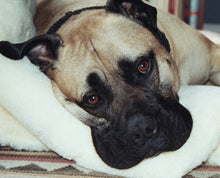 Load image into Gallery viewer, CUDDLE MAT