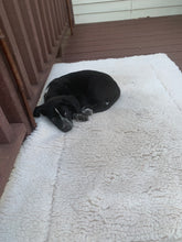 Load image into Gallery viewer, Purple Pebble Cuddle Mats make any spot a special spot...even if you get a size with room for puppy to grow:)