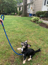 Load image into Gallery viewer, LEEDZ® LEASHES -3/8" Snap End