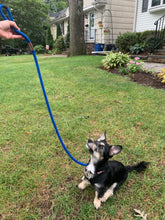 Load image into Gallery viewer, LEEDZ® LEASHES -3/8" Snap End