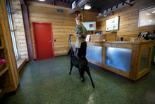 Load image into Gallery viewer, LEEDZ® LEASHES 4' x 3/8" + 22" - Slip End