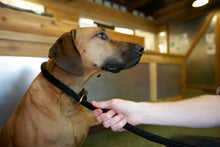 Load image into Gallery viewer, LEEDZ® LEASHES - 5/8" x 4' + 22" - Slip End