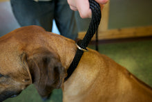 Load image into Gallery viewer, Slip LEEDZ 6' x 5/8" + 22" collar allowance