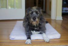 Load image into Gallery viewer, CUDDLE MAT