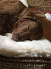 Load image into Gallery viewer, CUDDLE MAT