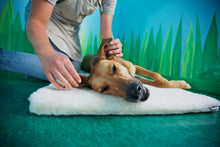 Load image into Gallery viewer, CUDDLE MAT