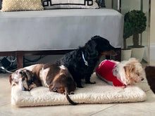 Load image into Gallery viewer, CUDDLE MAT