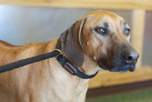 Load image into Gallery viewer, Slip LEEDZ 6' x 5/8" + 22" collar allowance