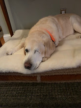 Load image into Gallery viewer, CUDDLE MAT