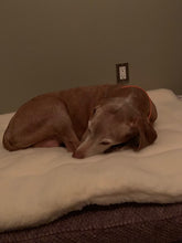 Load image into Gallery viewer, CUDDLE MAT