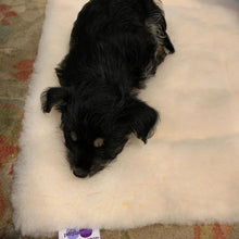 Load image into Gallery viewer, CUDDLE MAT