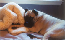 Load image into Gallery viewer, CUDDLE MAT