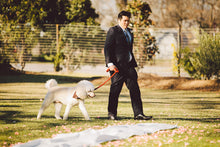 Load image into Gallery viewer, LEEDZ® LEASHES -3/8" Snap End