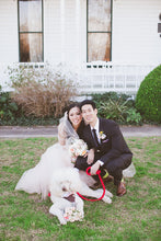 Load image into Gallery viewer, LEEDZ® LEASHES -3/8" Snap End
