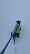 Load and play video in Gallery viewer, LEEDZ® LEASHES -3/8" Snap End