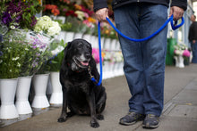 Load image into Gallery viewer, LEEDZ® LEASHES -5/8” Snap End