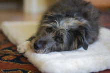 Load image into Gallery viewer, CUDDLE MAT