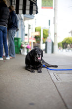 Load image into Gallery viewer, LEEDZ® LEASHES -5/8” Snap End
