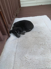 Load image into Gallery viewer, Purple Pebble Cuddle Mats make any spot a special spot...even if you get a size with room for puppy to grow:)
