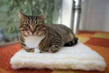 Load image into Gallery viewer, Kitty Cuddle Mat
