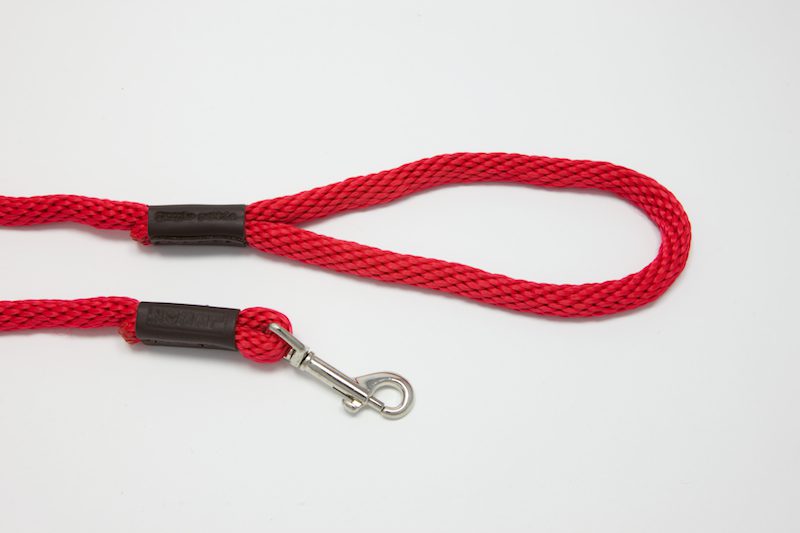 Red dog leash with metal clip.