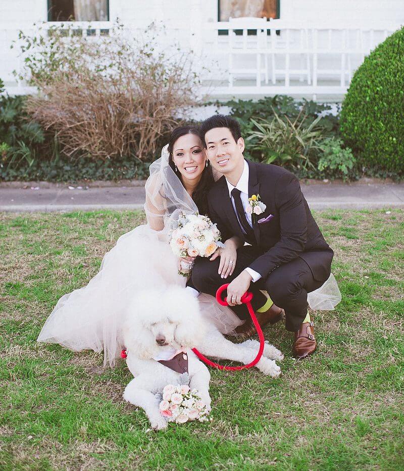 LEEDZ® Leashes – 3/8” Snap End
