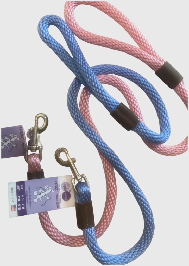 Pink and blue dog leashes with tags.