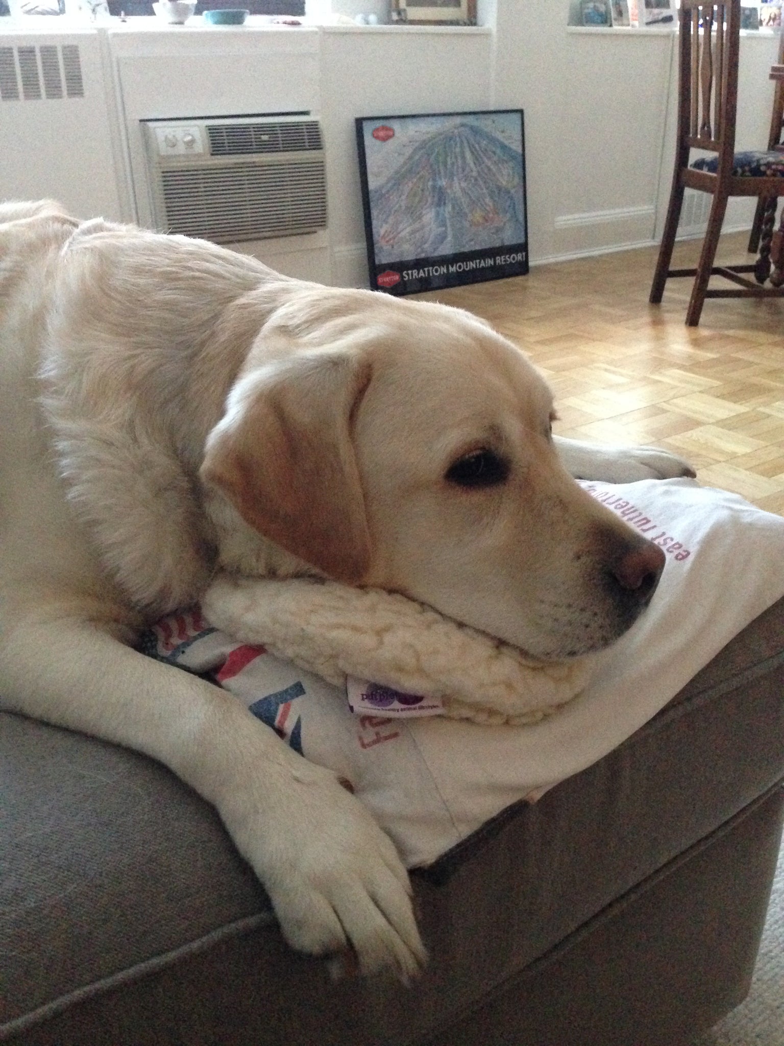 Ravioli Toy - Image 14