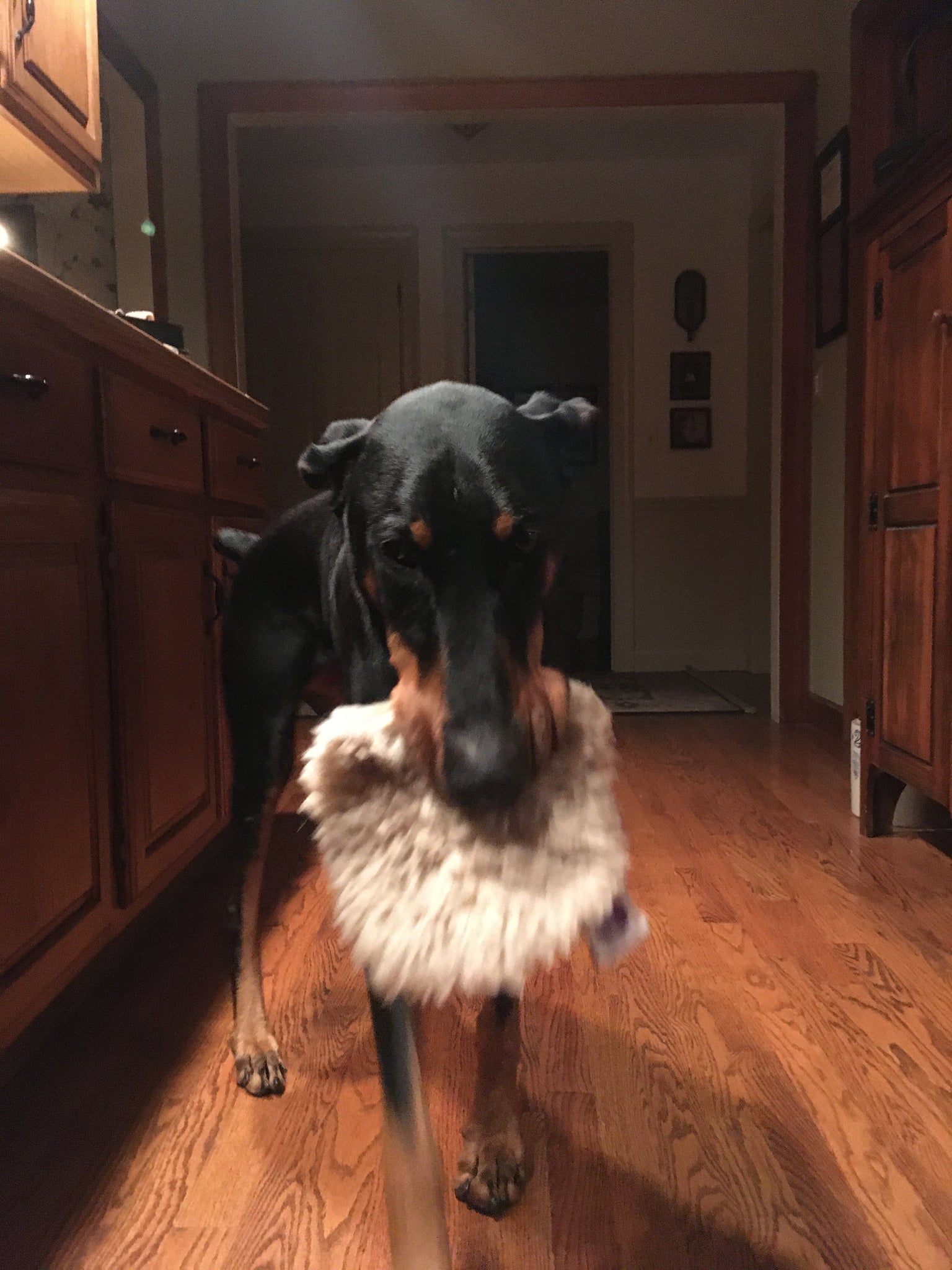 Ravioli Toy - Image 12