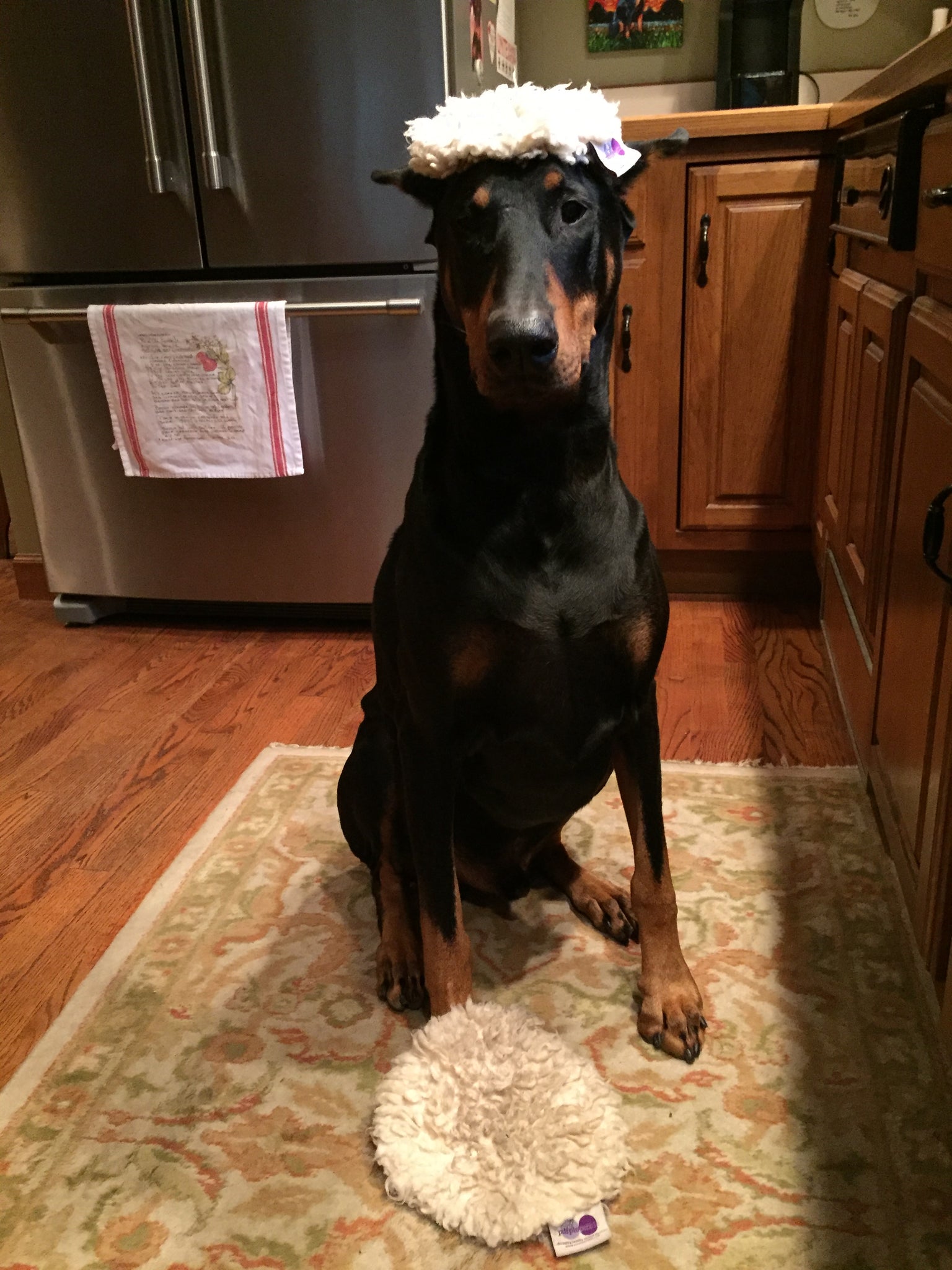 Ravioli Toy - Image 13