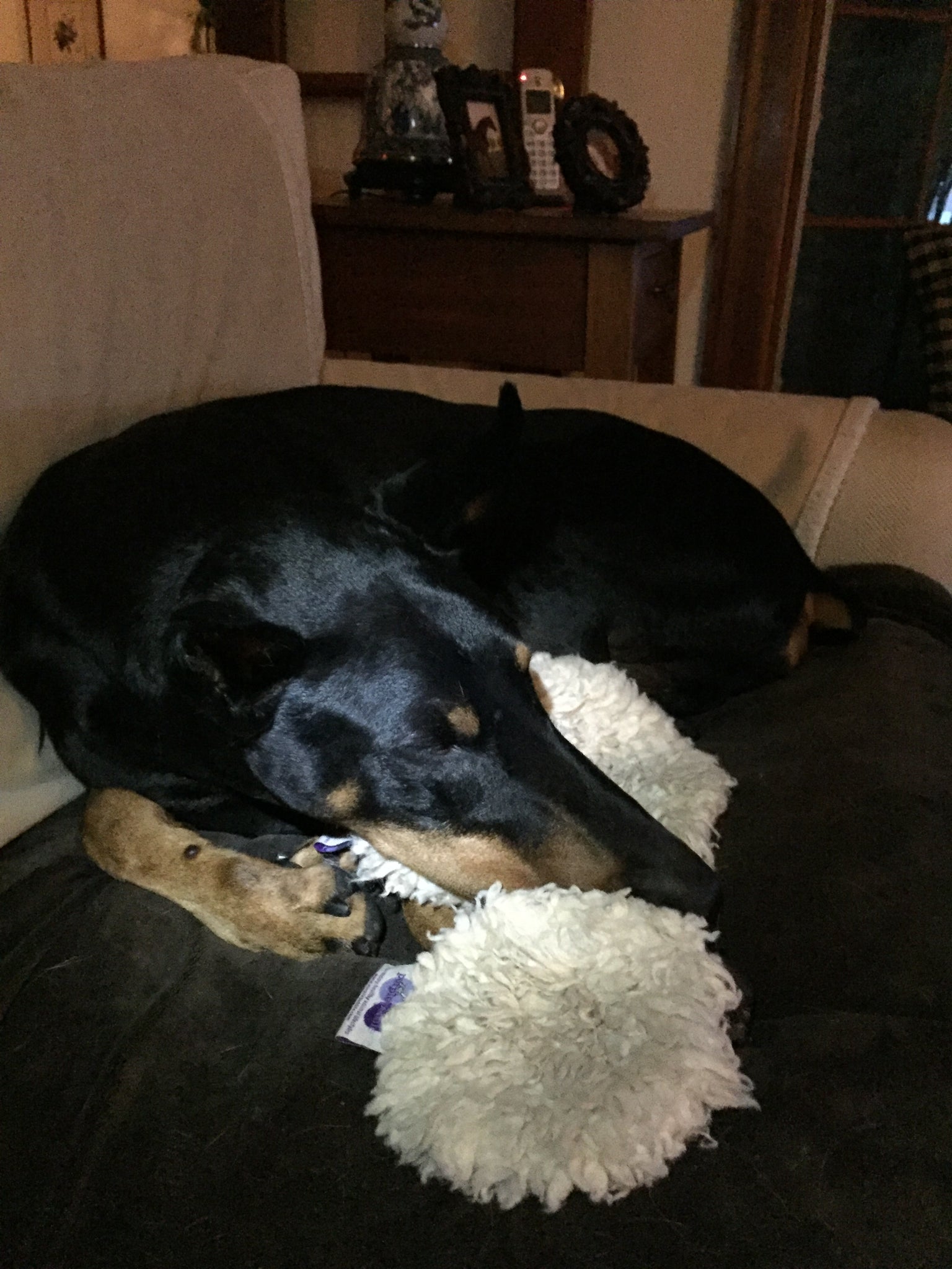 Ravioli Toy - Image 9