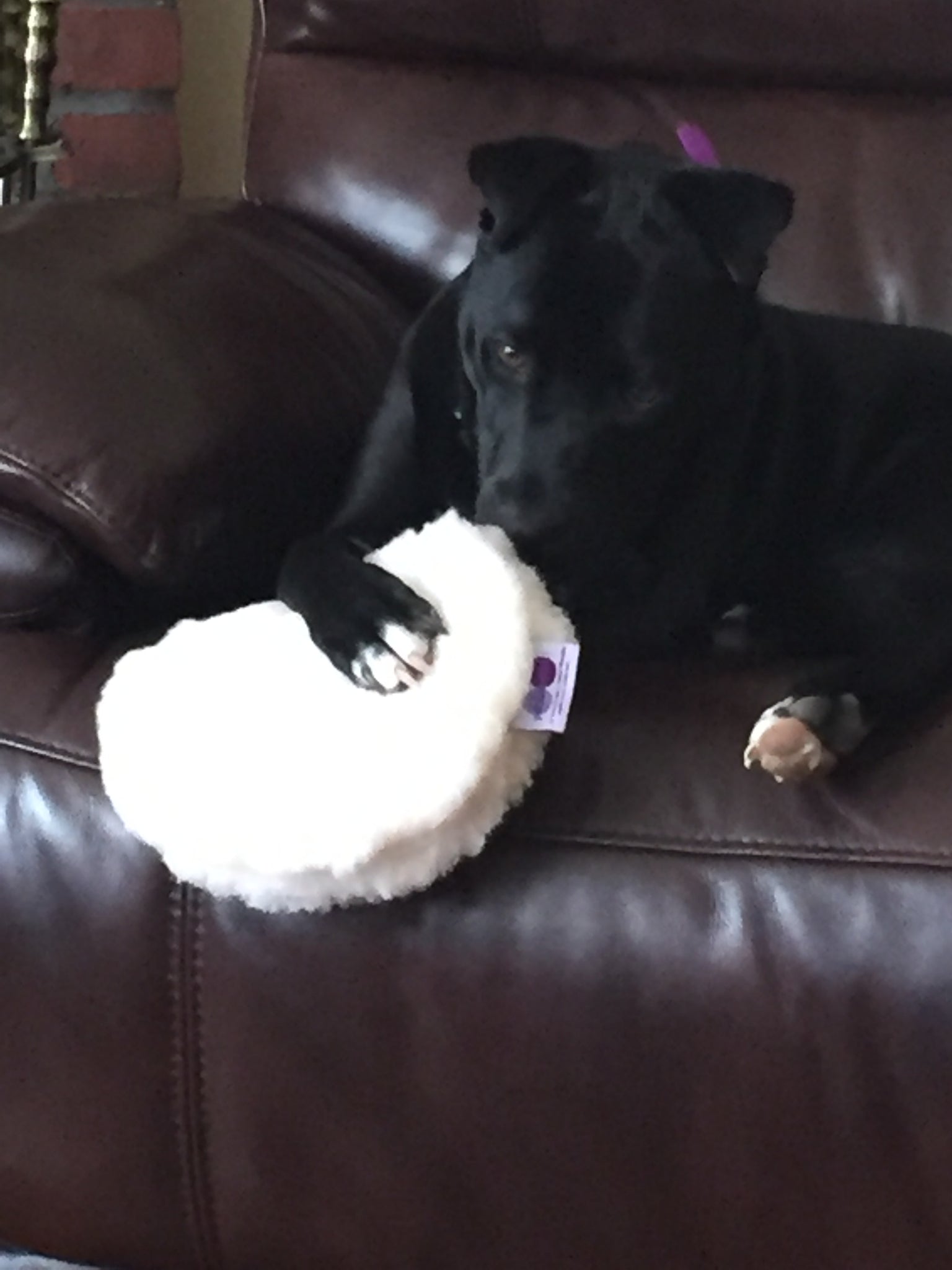 Ravioli Toy - Image 6