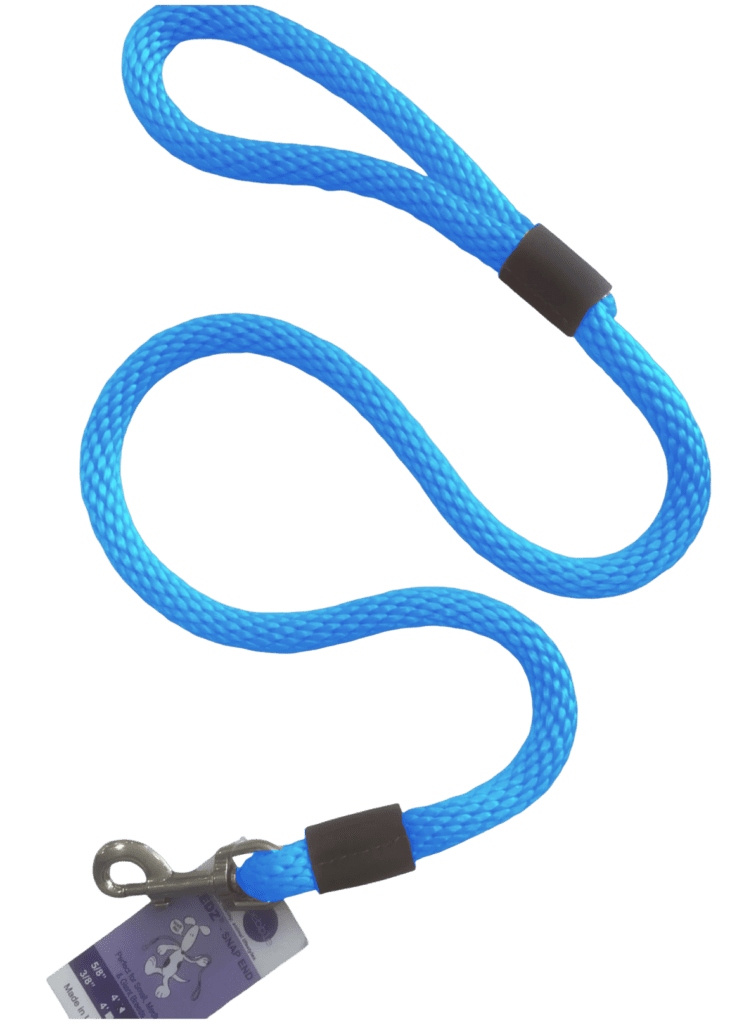 Blue dog leash with metal clip.