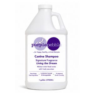 Shampoo Living the Dream™ gallon size, case of 4
